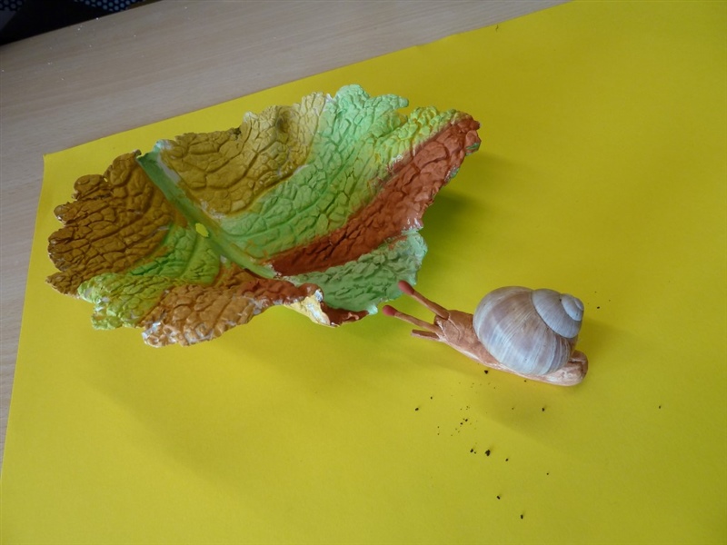 Schnecken cycle 2.1 201314 1